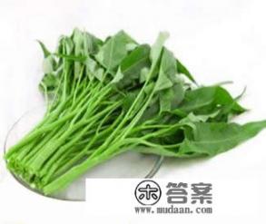 空心菜居然是蔬菜中的“毒中之王”!你吃过吗? 空心菜居然是蔬菜中的“毒中之王”!你吃过吗?