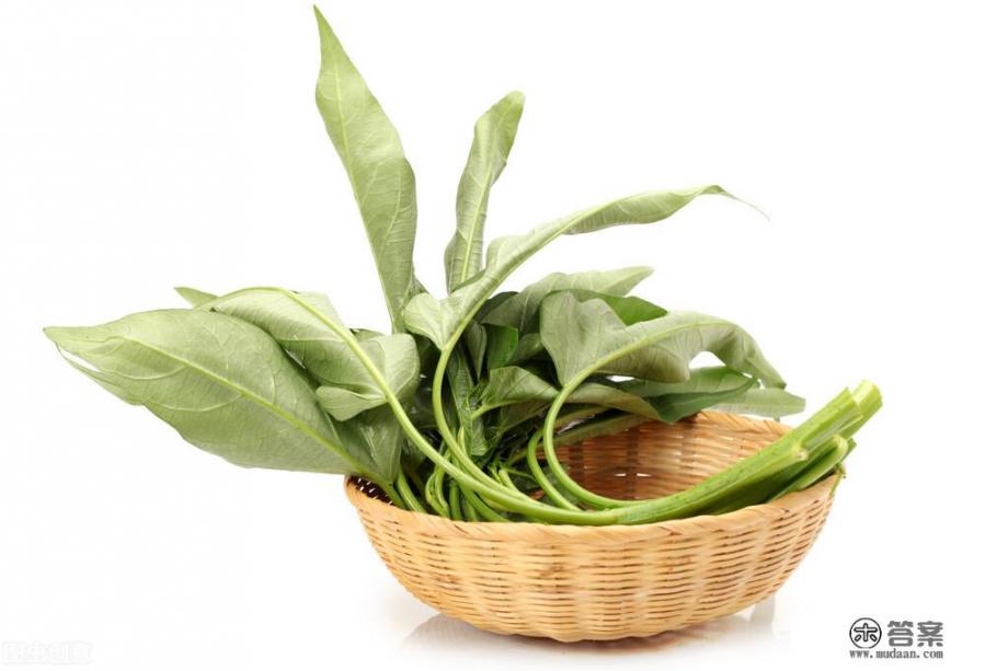 空心菜居然是蔬菜中的“毒中之王”!你吃过吗? 空心菜居然是蔬菜中的“毒中之王”!你吃过吗?