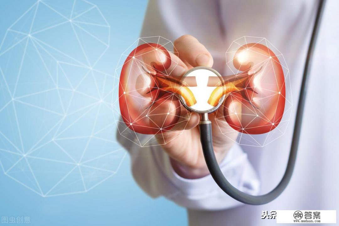 肾上腺是什么？