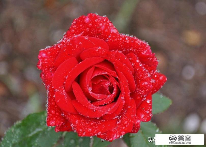 信用卡欠了10万逾期了还不起该怎么办？哪位大神能出个主意？