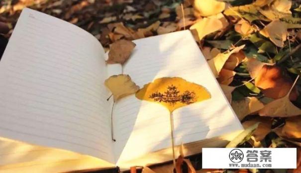 银杏叶是什么？