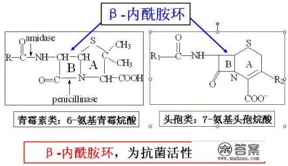 抗生素药物主要有哪些？