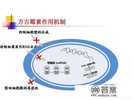 抗生素药物主要有哪些？