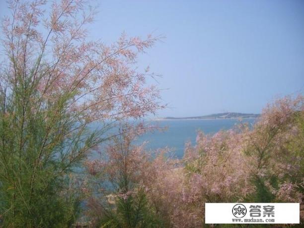 玩英雄联盟别人坑了的时候说“游戏而已，何必那么认真”时，怎么反驳他？