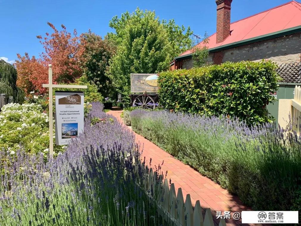 part-time 与working holiday的区别? part-time 与working holiday的区别?