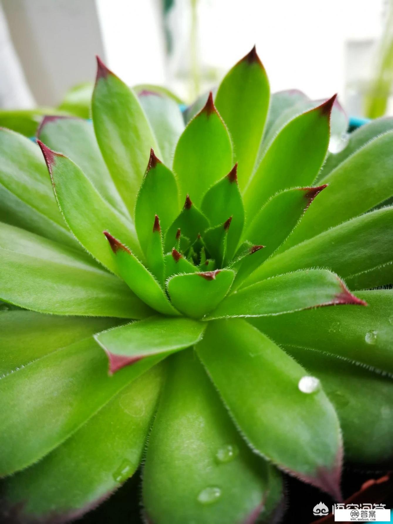 宾得q-s1/qs1微单相机怎么样? 宾得q-s1/qs1微单相机怎么样?