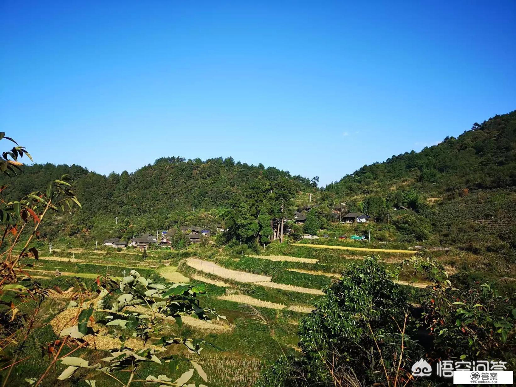 张家界旅游私人导游注意事项？