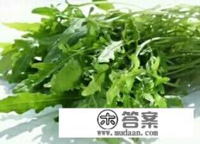 那么多人喜欢吃芝麻菜?有营养高吗? 那么多人喜欢吃芝麻菜?有营养高吗?