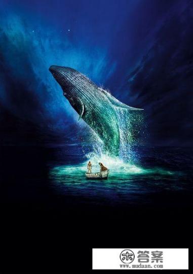 如何评价电影《少年派的奇幻漂流》？