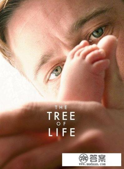 如何评价电影《少年派的奇幻漂流》？