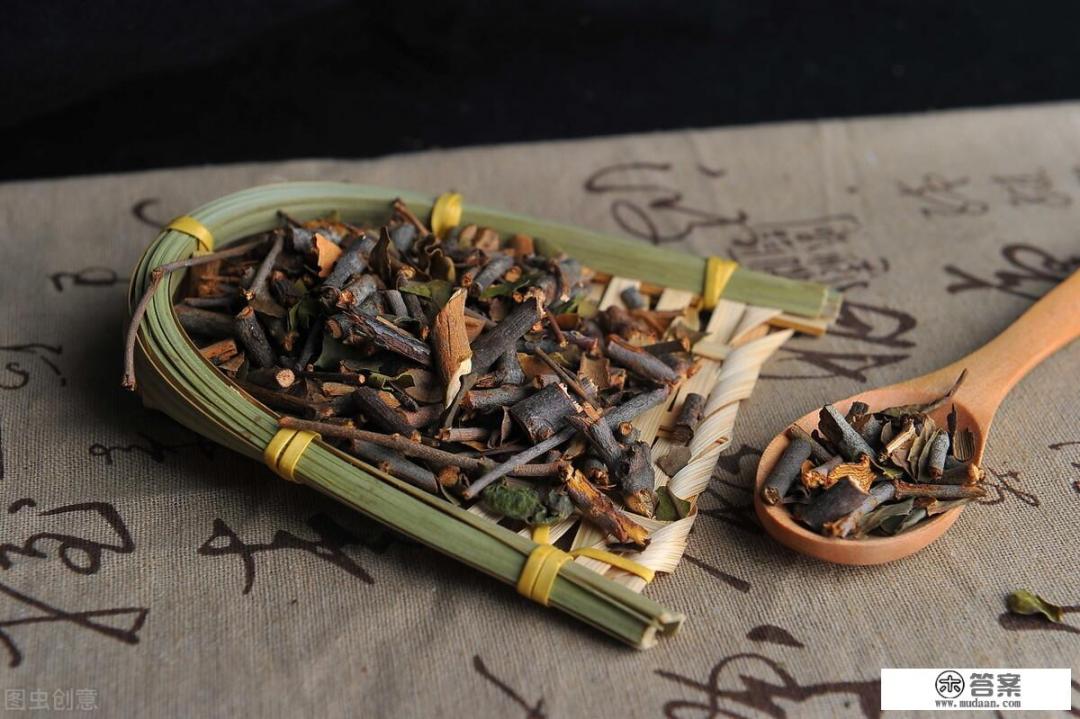 农村常见的“桑寄生”是什么植物？有什么药用价值？