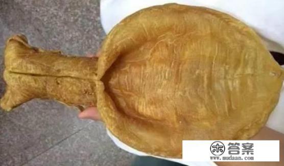 什么是鱼胶?鱼胶有什么营养价值,又有什么做法呢? 什么是鱼胶?鱼胶有什么营养价值,又有什么做法呢?