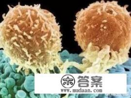 NK细胞是什么，NK细胞的作用有哪些？