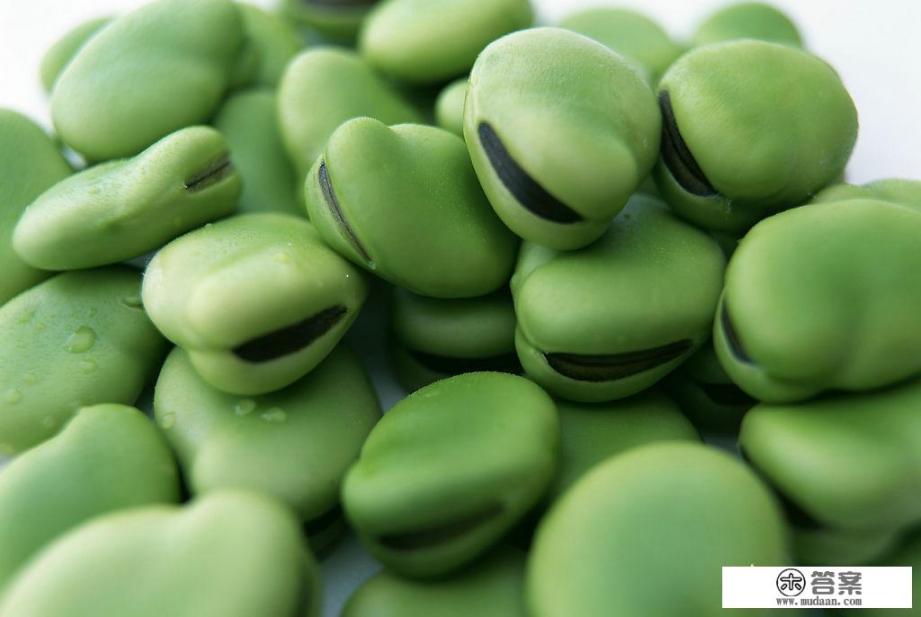 蚕豆有怎样的药用功效及营养价值? 蚕豆有怎样的药用功效及营养价值?