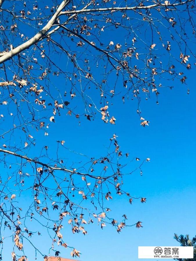 恋爱一年我花了七万，负债四万，她却极少给我买东西，这样的爱情还要继续吗？