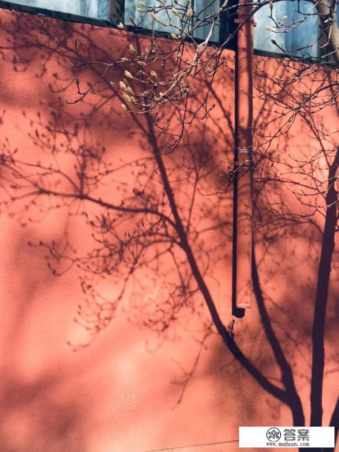 恋爱一年我花了七万，负债四万，她却极少给我买东西，这样的爱情还要继续吗？