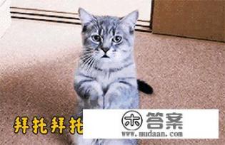 最近工商银行信用卡老是打电话叫我分期请问分期对我有什么影响？