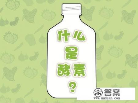 酵素是什么东西，在身体里起到什么作用？