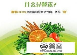 酵素是什么东西，在身体里起到什么作用？