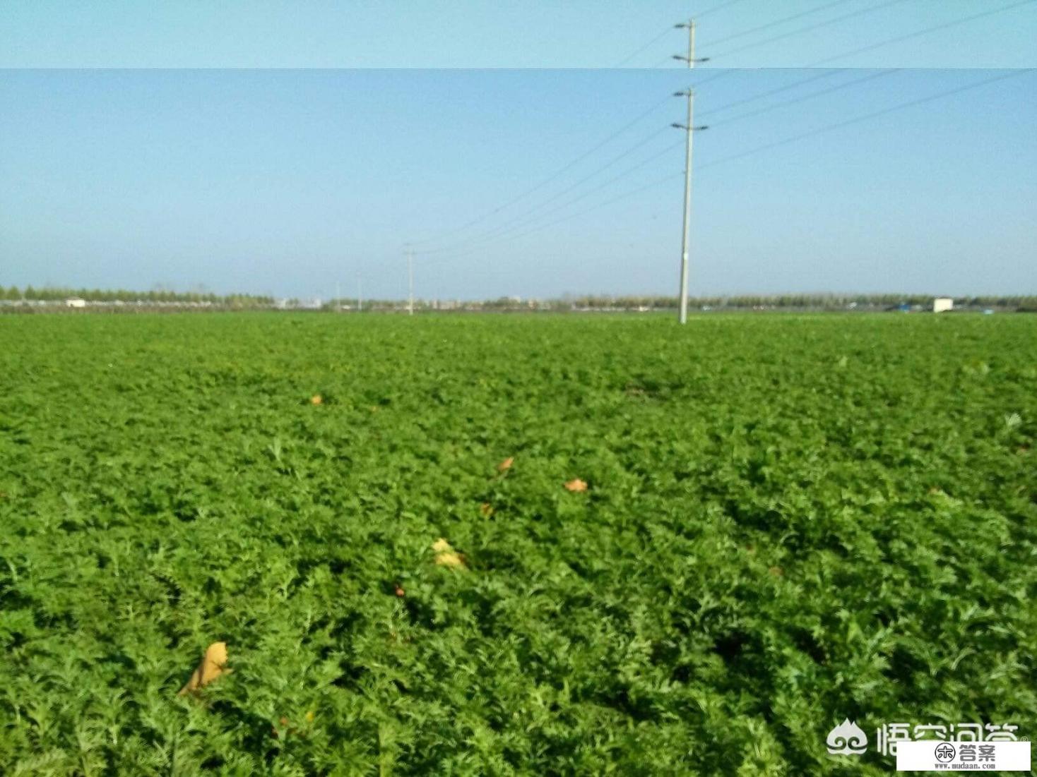 你能接受你的爱人身体和你在一起，心里却想着别人吗？