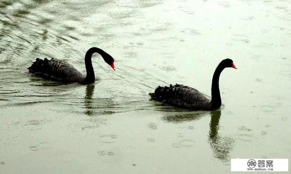 荷尔蒙是什么。？