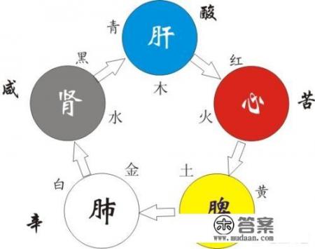 “五官、五脏、六腑、七窍、七情、六欲”都是指什么？