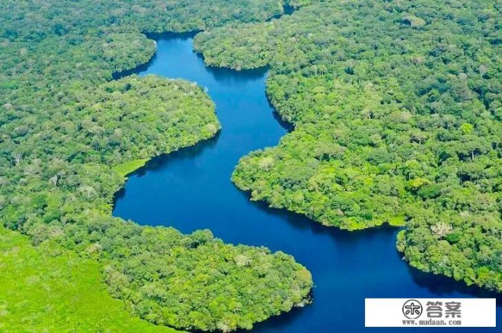 被称为地球之肺的亚马逊热带雨林，到底有多可怕？