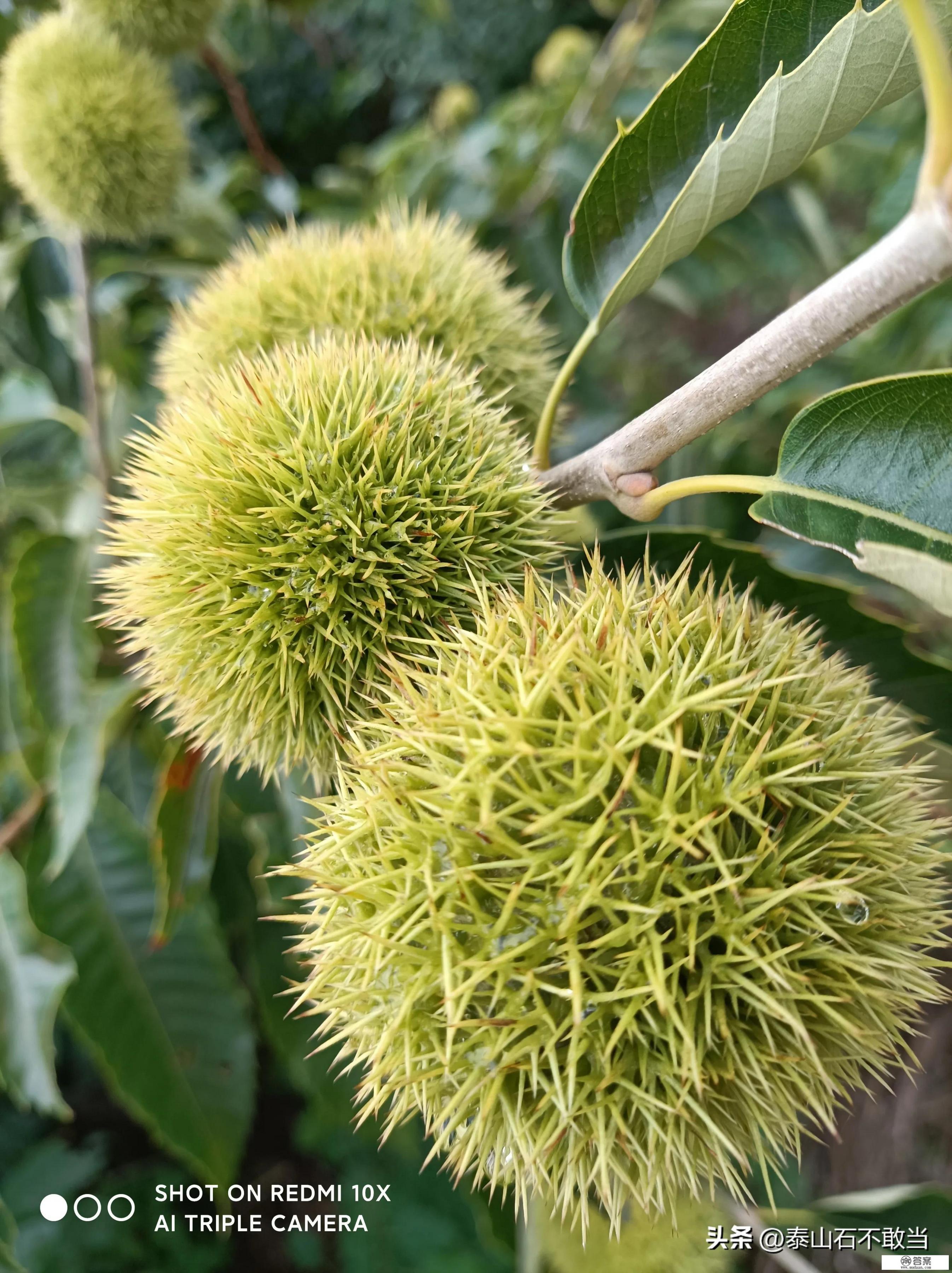 校园趣事段子？