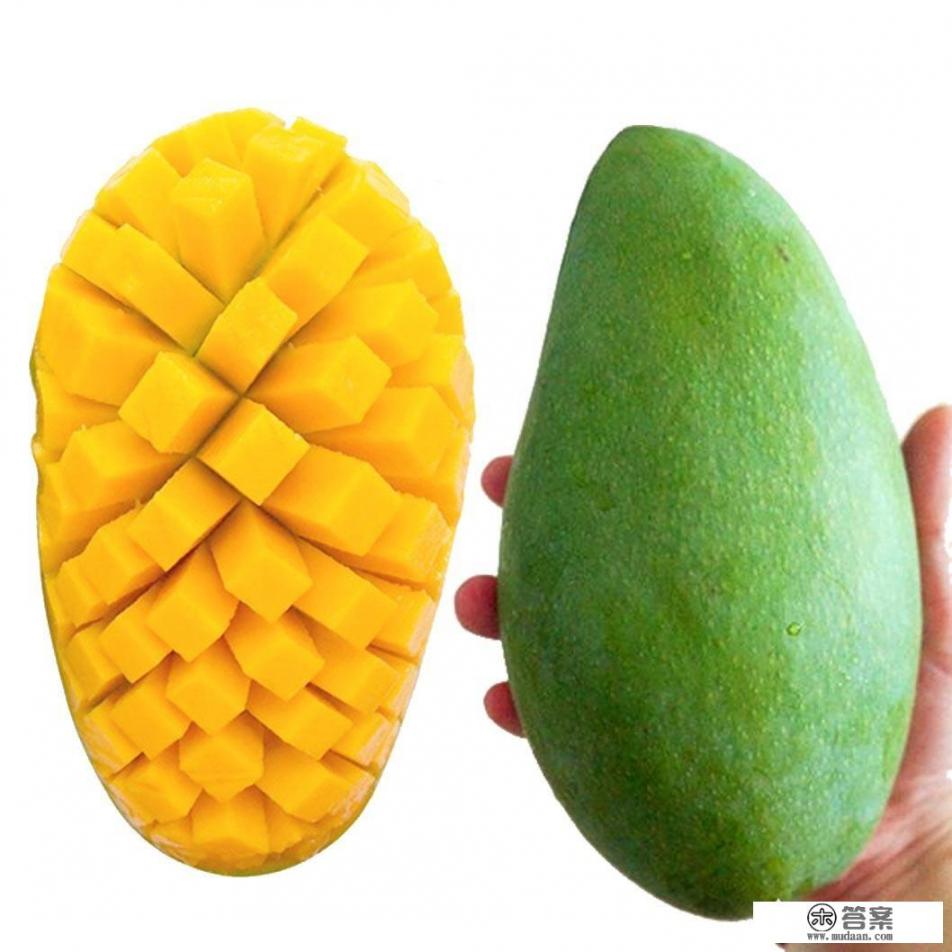 芒果有哪些形态特征和功效? 芒果有哪些形态特征和功效?