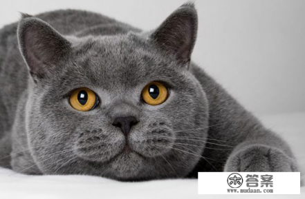 吸引妹子的游戏名字？