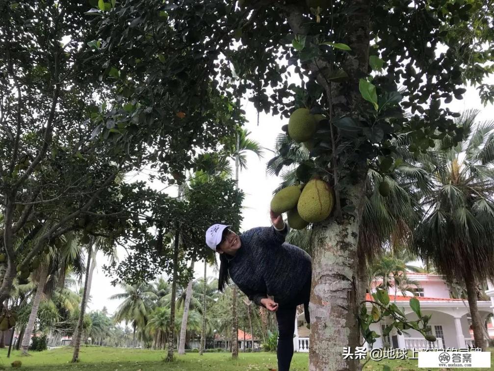 你对海南和海南人第一印象是什么？