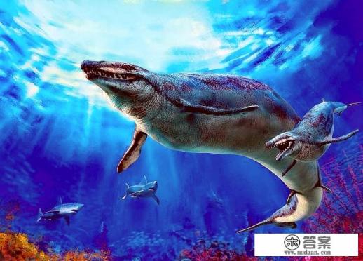 数千万年前，海洋霸主是谁？