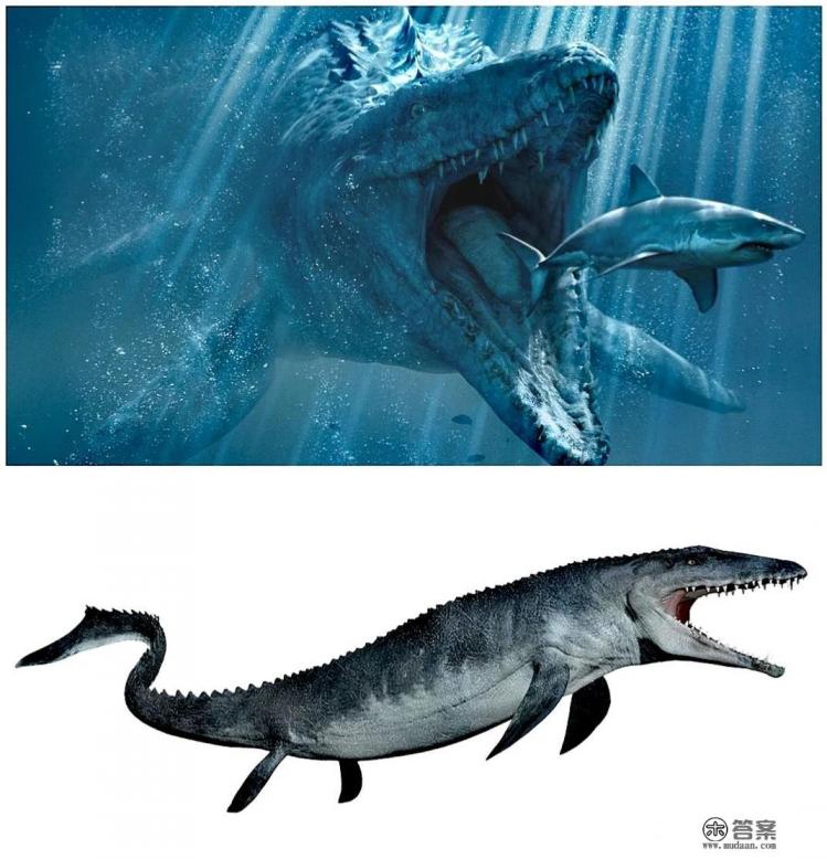 数千万年前，海洋霸主是谁？