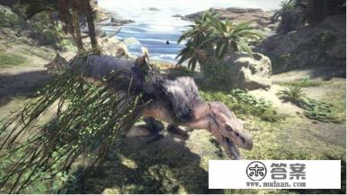 怪物猎人世界先玩本体，还是直接上冰原？