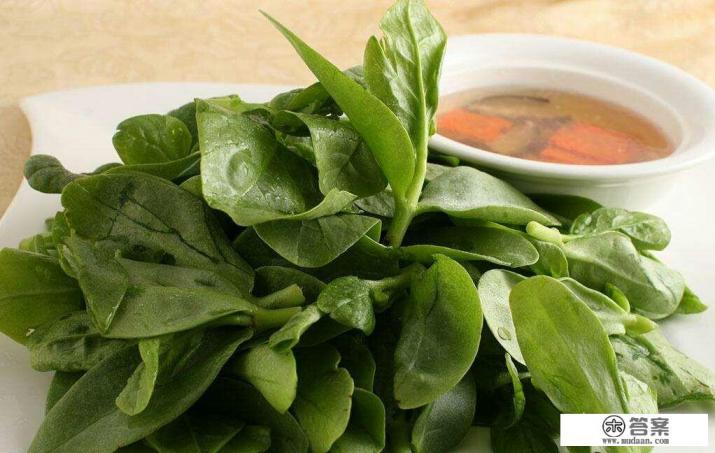 常吃木耳菜有什么好处，高血压人群能吃吗？