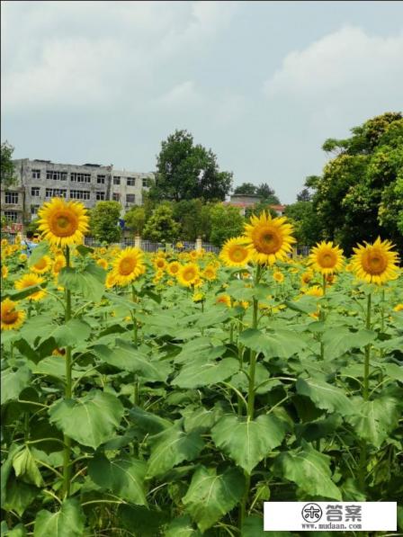 书画界各级协会有责任与义务去发掘吸纳有影响的民间大师吗？