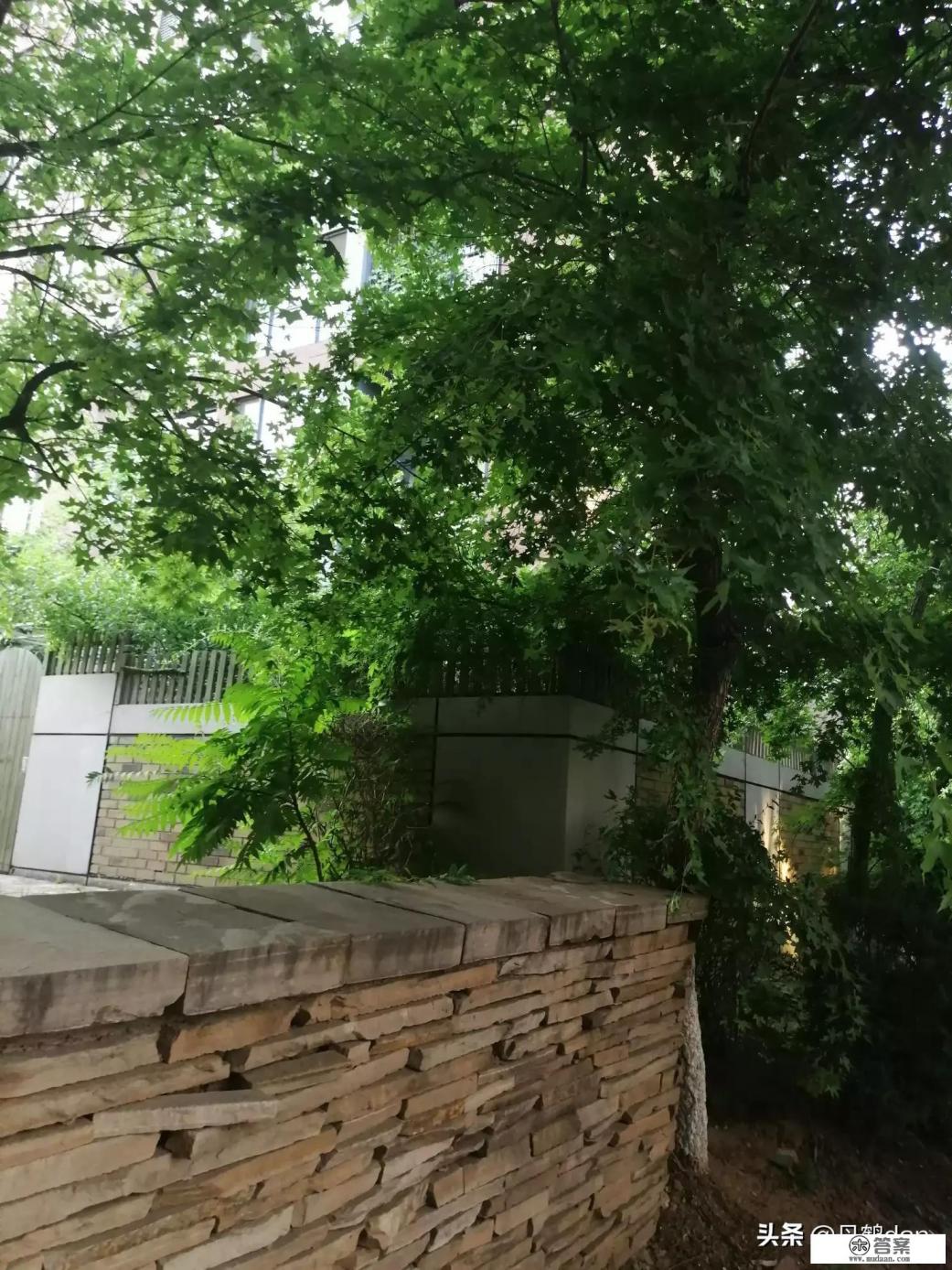 能遇见是福气能错过也是什么意思？