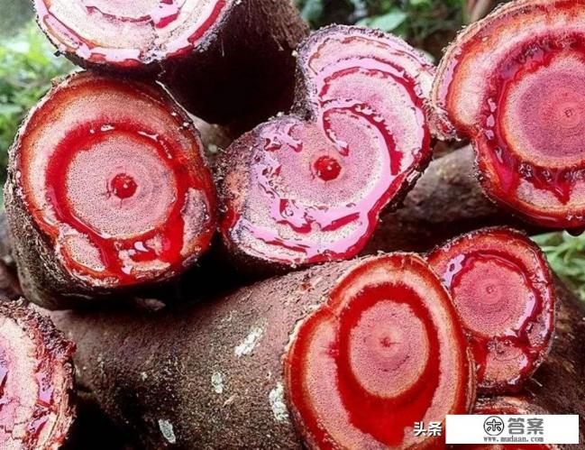 鸡血藤的功效与作用及食用方法是什么？