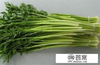 水芹菜野芹菜区别？