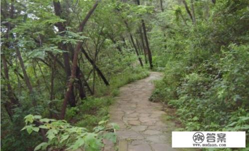 唐山的凤凰山公园由来是什么? 唐山的凤凰山公园由来是什么?