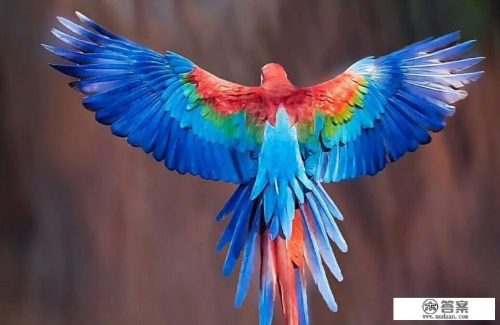 如何拯救重度沉迷游戏的青少年? 如何拯救重度沉迷游戏的青少年?