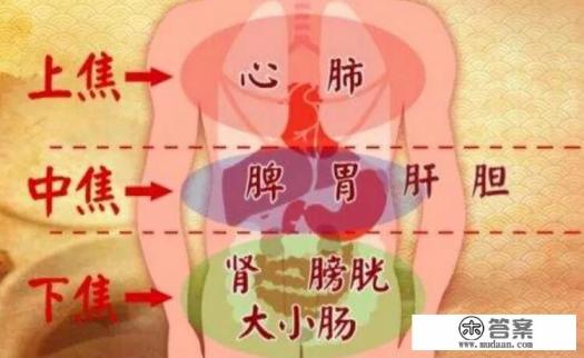 中医三焦到底是指什么人体结构? 中医三焦到底是指什么人体结构?
