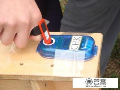 定向越野是怎么玩的？