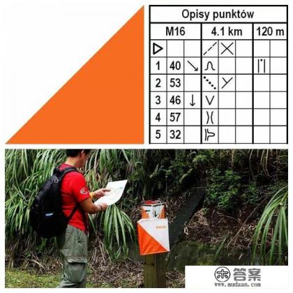 定向越野是怎么玩的？