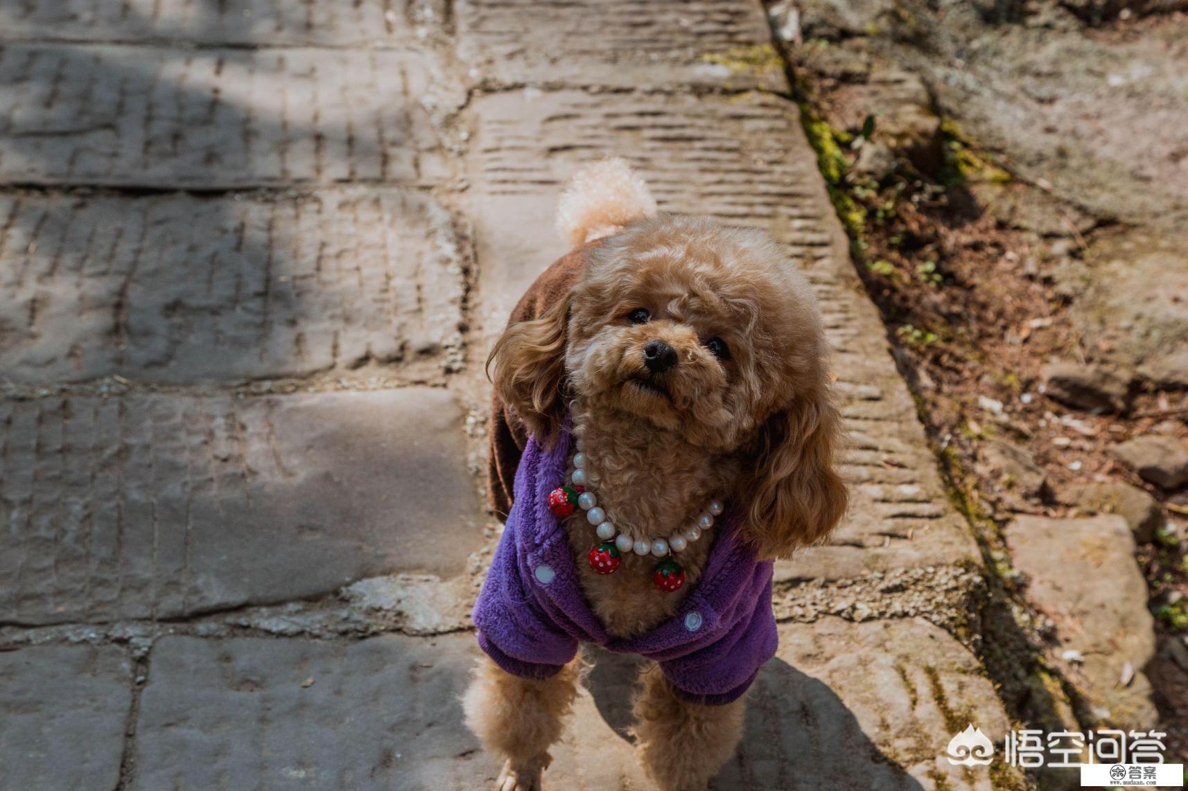 安徽的齐云山好玩吗，沿路有哪些景区可以一起游玩？