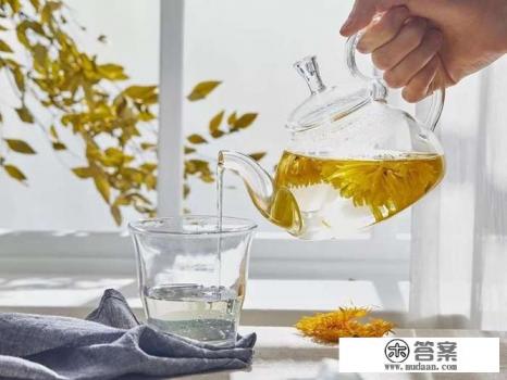 菊花茶怎么泡才正确？