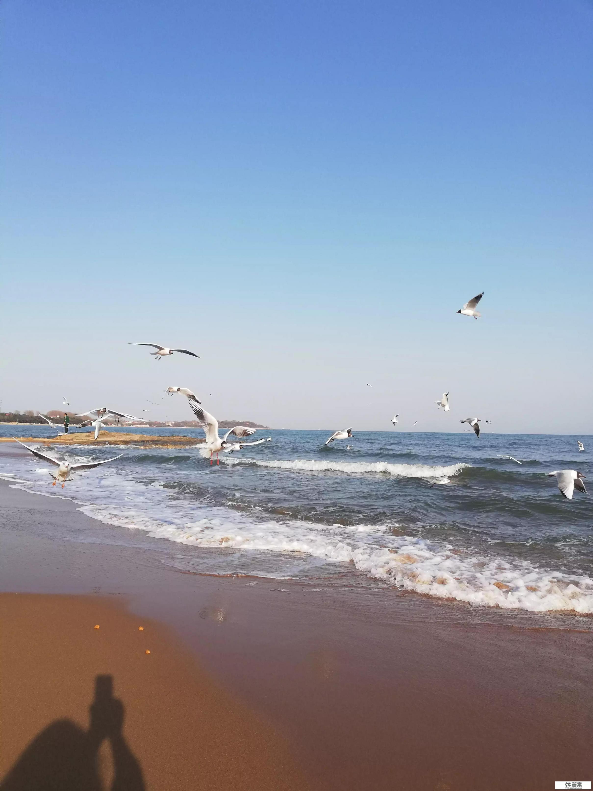 世界最美的十个海滩是哪里？