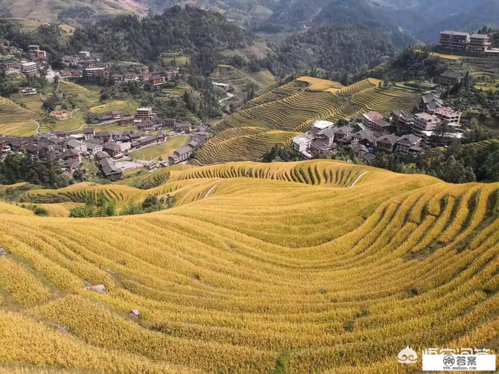 什么叫梯田？