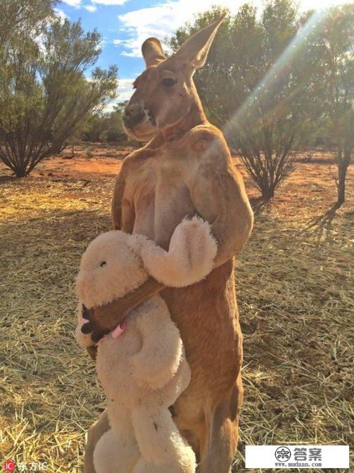 老师会察觉到学生喜欢他自己吗？