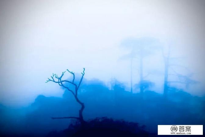 大学期间最大的收获是什么？步入社会后有什么遗憾呢？